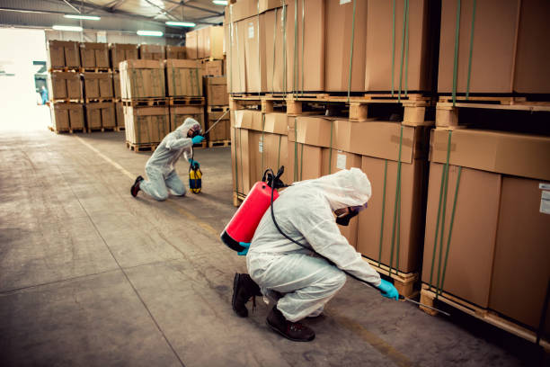 Best Local Pest Control Services  in North Alamo, TX