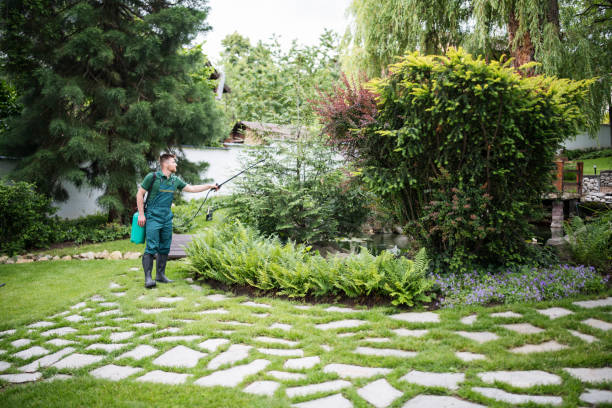 Best Best Pest Control Companies  in North Alamo, TX