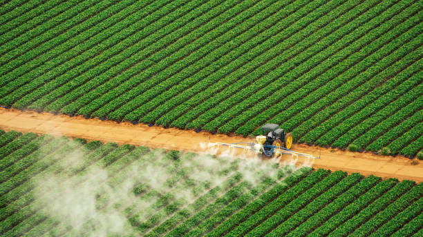 Best Commercial Pest Control Services  in North Alamo, TX